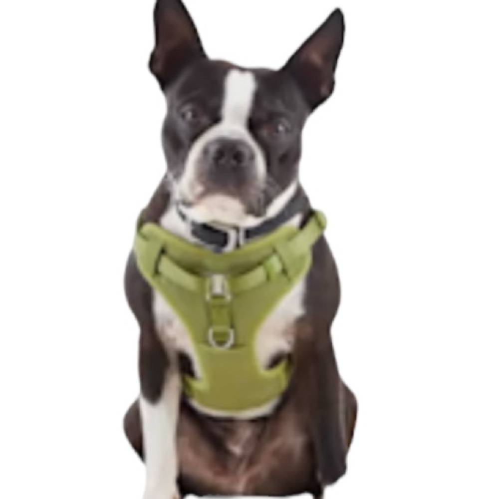 NWT YOULY step in padded harness M